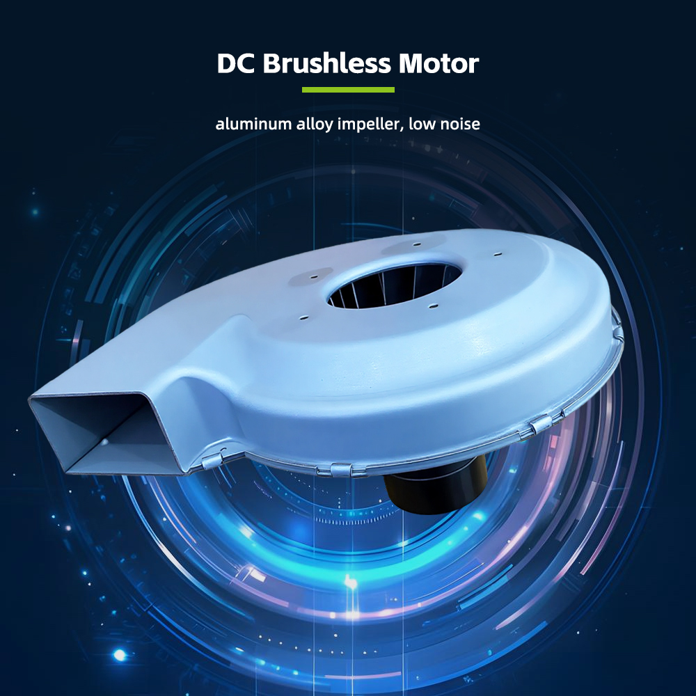 XL-300 szénkefe nélküli DC motor
